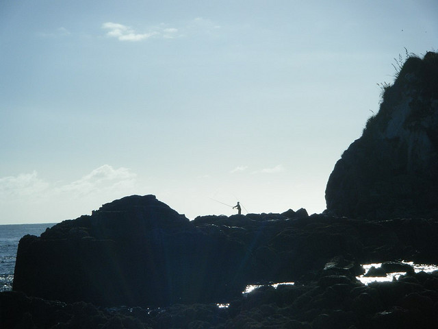Waipufisher
